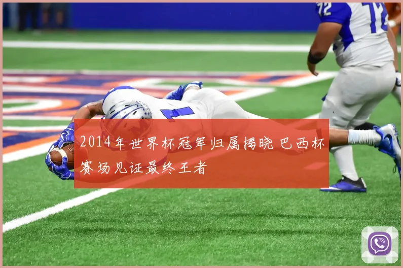 2014年世界杯冠军归属揭晓 巴西杯赛场见证最终王者