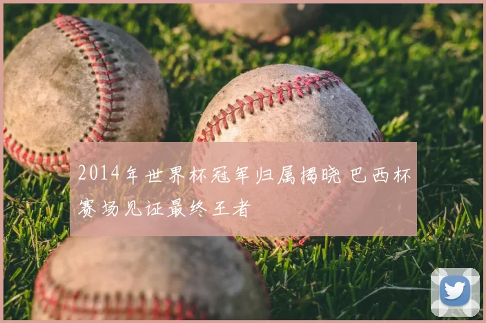 2014年世界杯冠军归属揭晓 巴西杯赛场见证最终王者